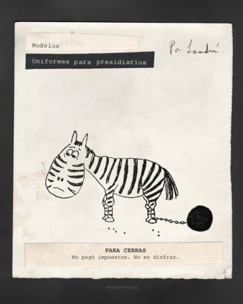 Para cebras